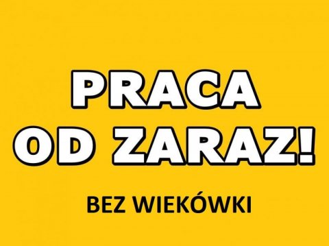 Order picker magazynier Bleiswijk- nie ma wiekówki 