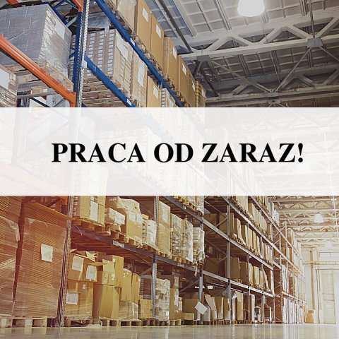 Magazynier mroźnia Bleiswijk- nie ma wiekówki