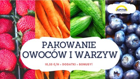 Sortownia owoców/pakownia, dla par i nie tylko, Venlo