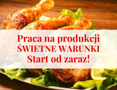 Praca na produkcji bez wiekówki- zakwaterowanie w 4* hotelu
