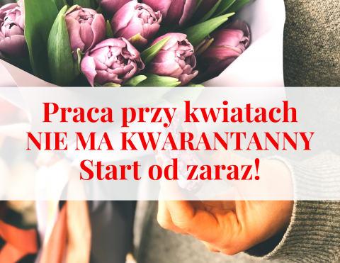Praca przy kwiatach na hali- pary mile widziane