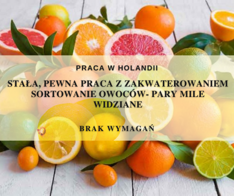 Praca na produkcji- sortowanie owoców start od zaraz