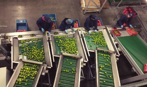 Operator maszyny pakujacej typu flowpack