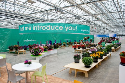 Pracownik produkcji przy kwiatach doniczkowych De Lier