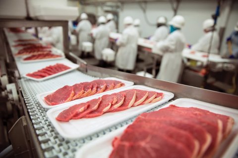 Praca na produkcji- pakowanie kiełbasek/ hamburgerów