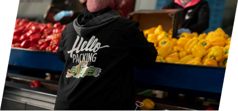 Pakownia & Sortownia