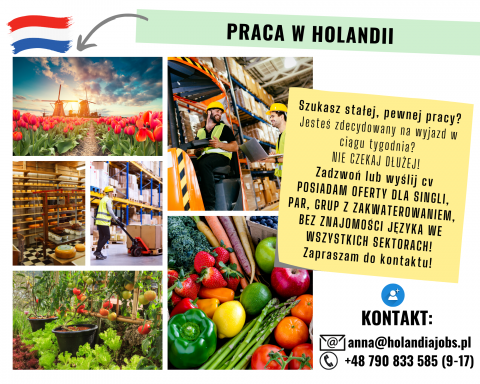 Praca od zaraz w Holandii! Tygodniówki! Single/ pary/ grupy
