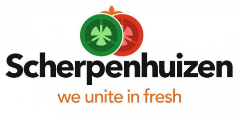 Praca produkcyjna w firmie Scherpenshuizen/ EIndhoven