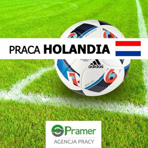 Pracownik przy produkcji dywanów sztucznej trawy | €17,16